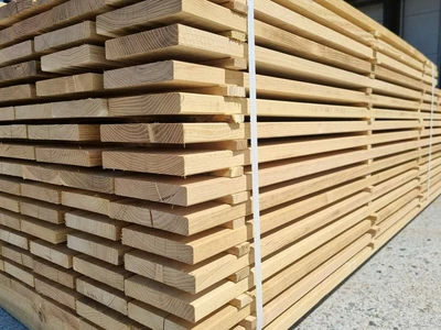 Acacia sawntimber