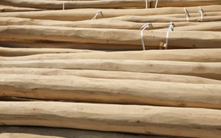 Acacia poles for playgrounds